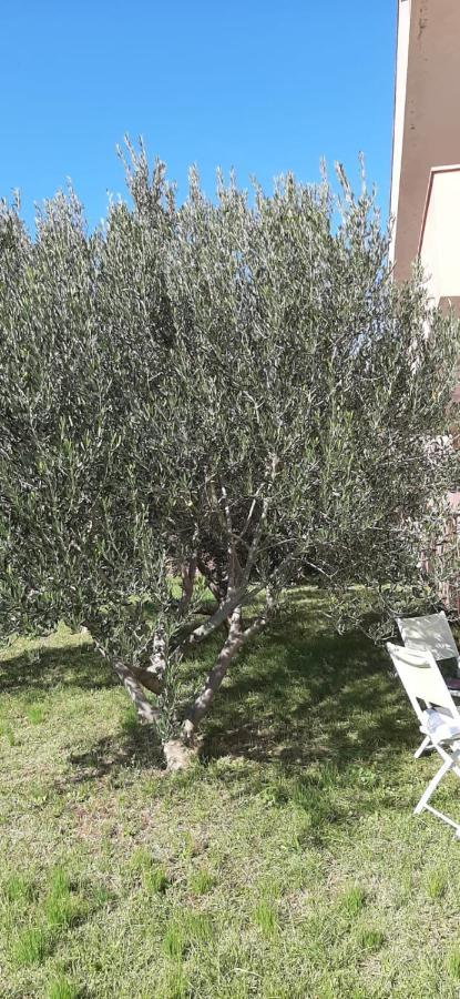 Dani Appartement