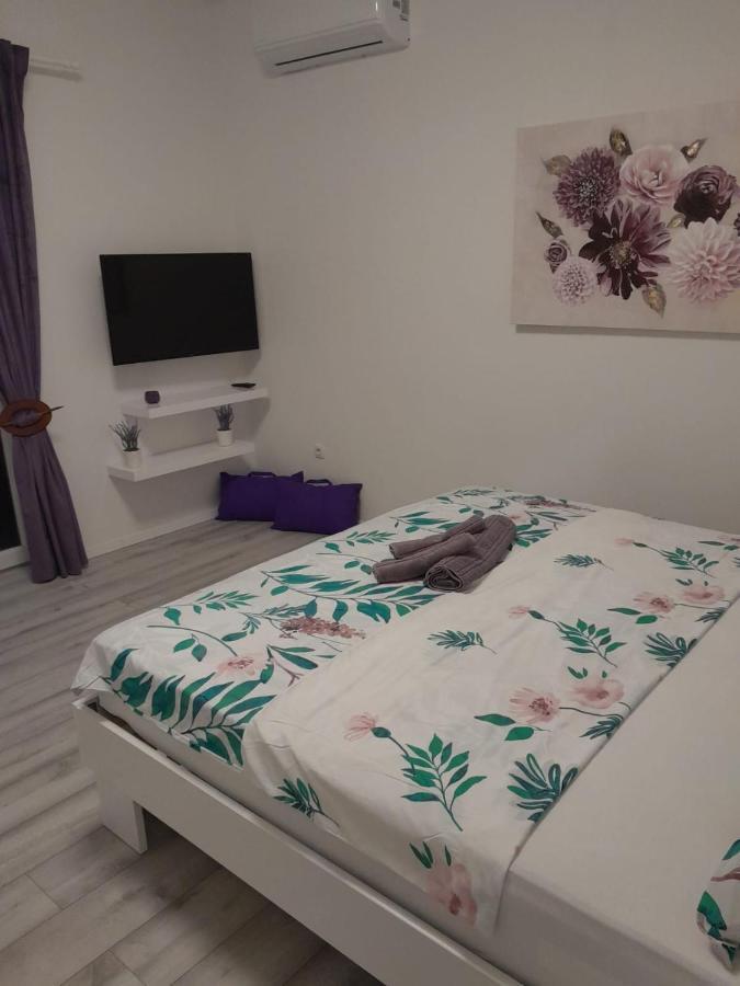 Dani * Zadar