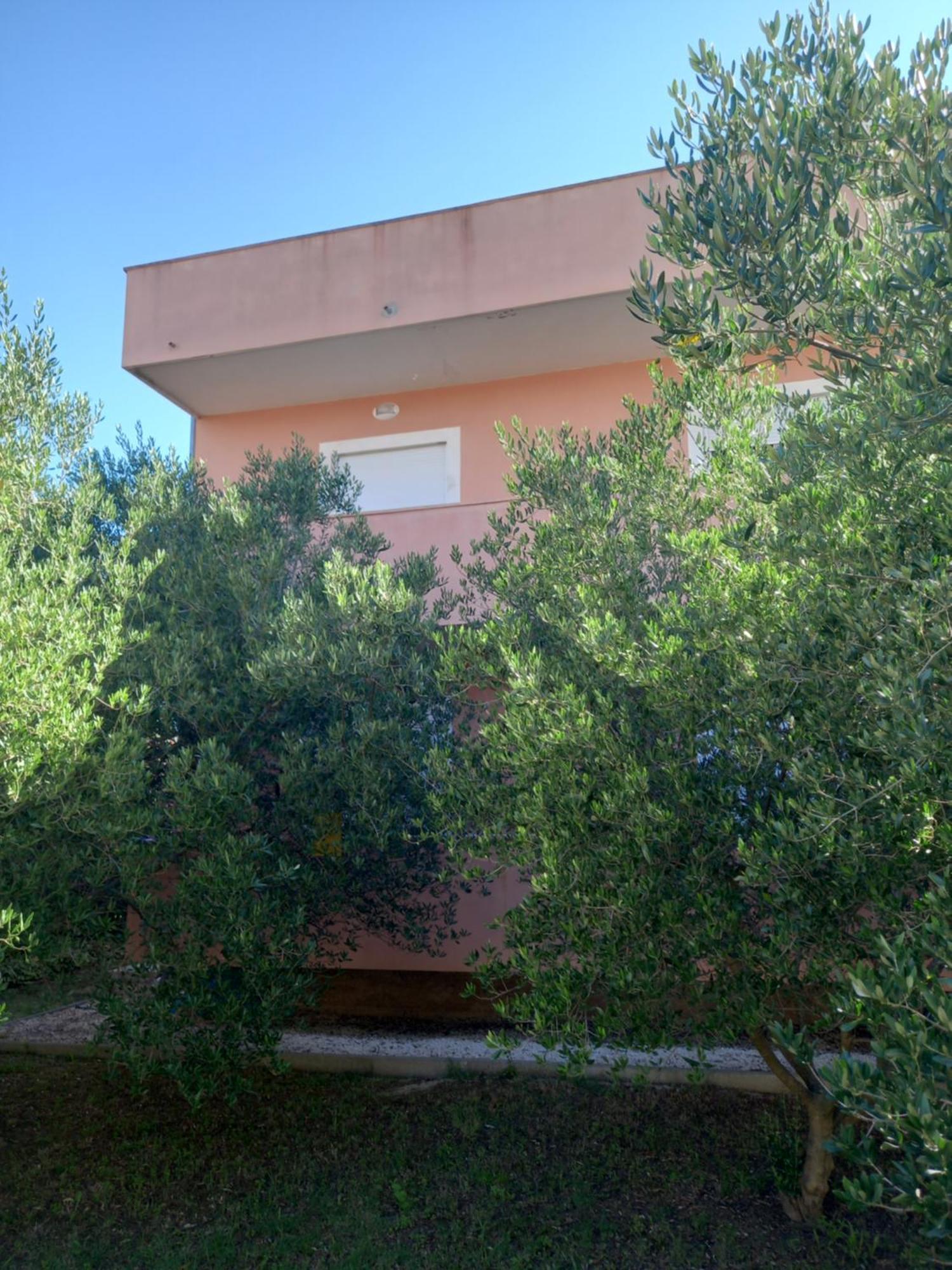 Dani Appartement *